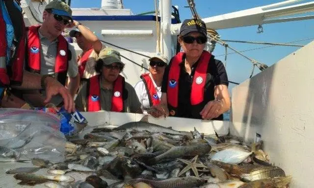 00_62330_NOAA-assessment