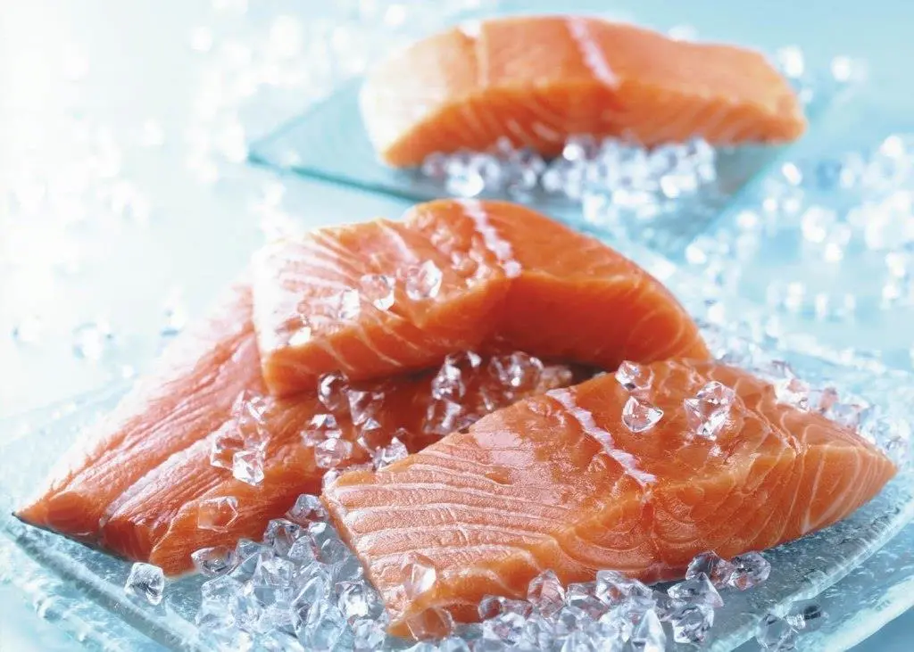 Scottish salmon – export levels are at record levels Photo: SSPO