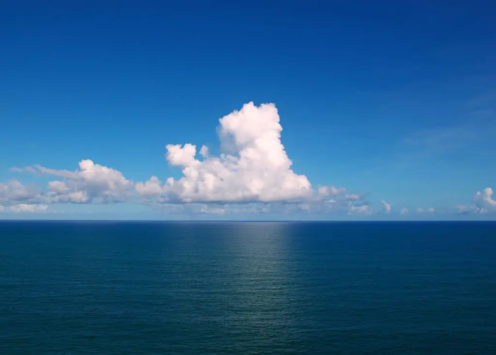 The research alliance will promote sustainable management of the Atlantic Ocean's resources. Photo: Tiago Fioreze