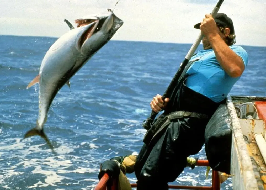 Eastern Tuna longliners have been catching SBT in the Great Australian Bight for the first time in nearly 20 years. Credit: AFMA