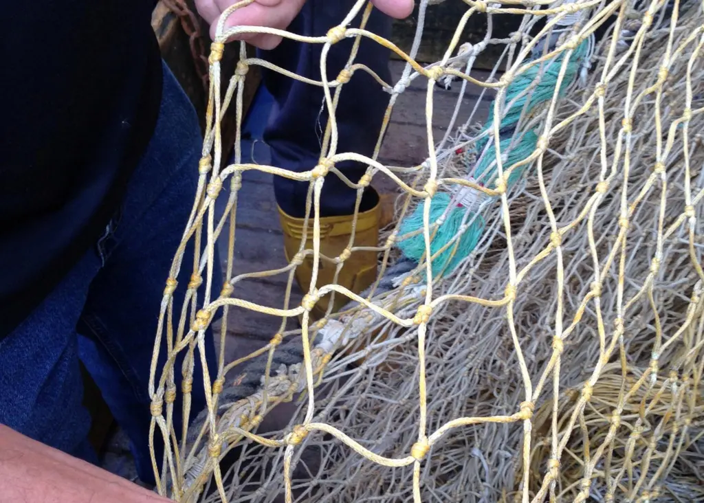 D16 netting after 14 months fishing