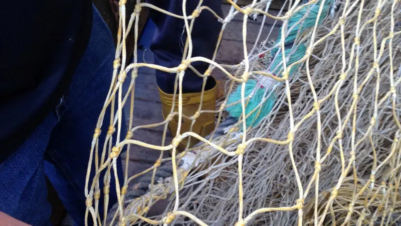 D16 netting after 14 months fishing