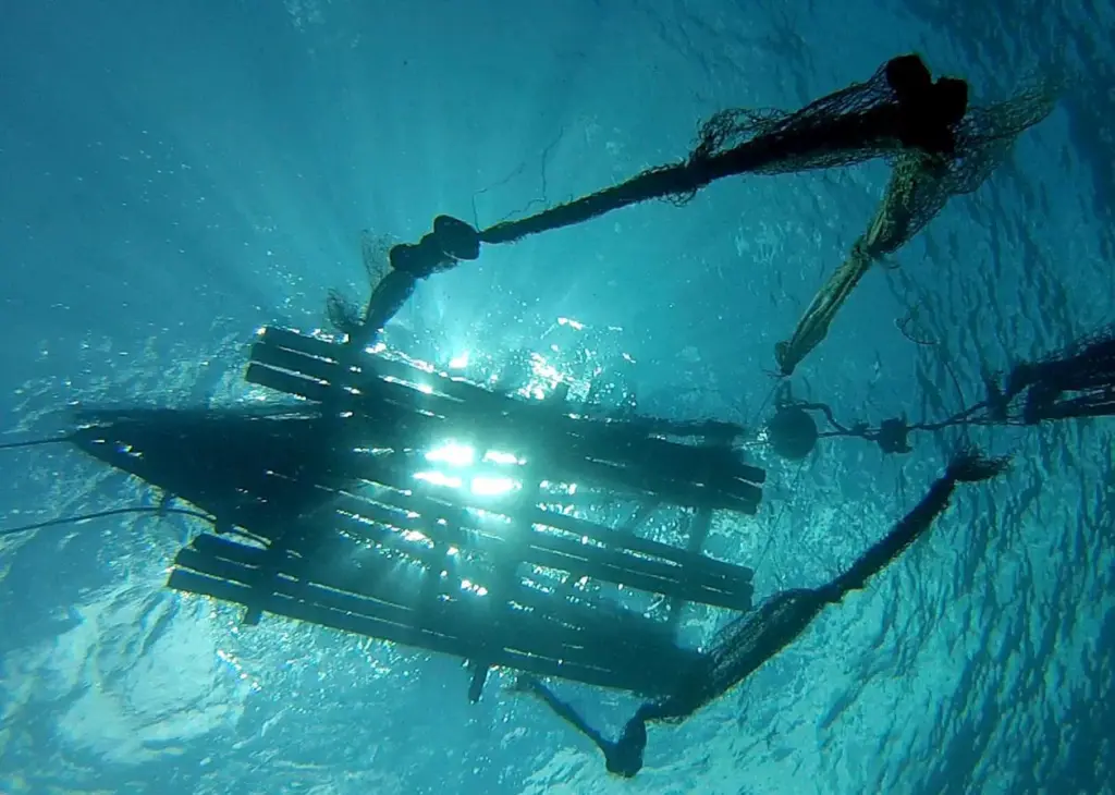 A Fish Aggregating Device in Langalanga Lagoon, Solomon Islands. Credit Wade Fairley/WorldFish
