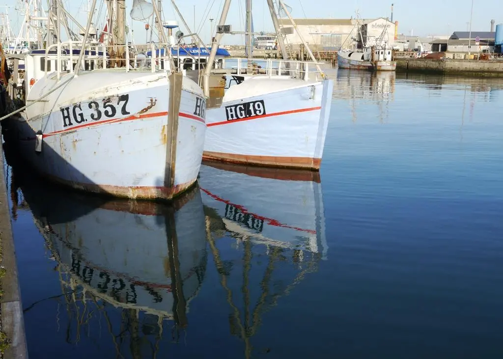 The EC has proposed fish quotas for 2016 for the Atlantic and the North Sea. Image supplied by Seafish: www.seafish.org