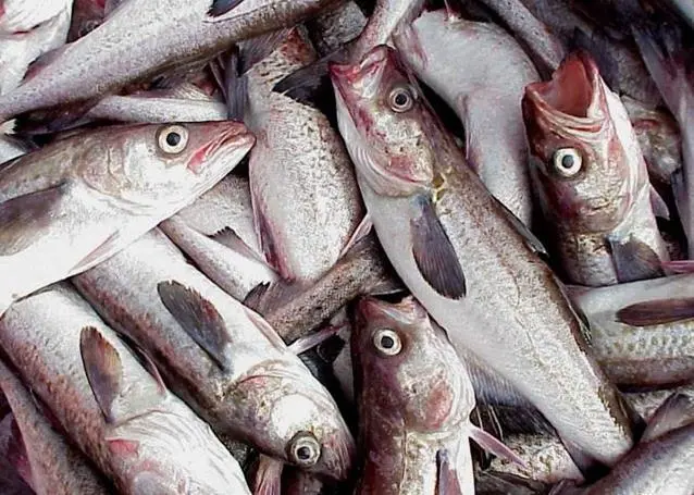 DEC collected and tested representative samples of Alaskan fish
