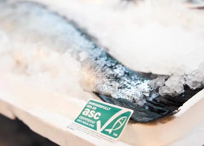 ASC has worked hard to improve its farmed salmon standard