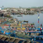Transparency is needed to stop illegal practices in the Ghanaian fishing industry, according to the EJF Photo: EJF