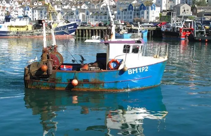 UK fishing