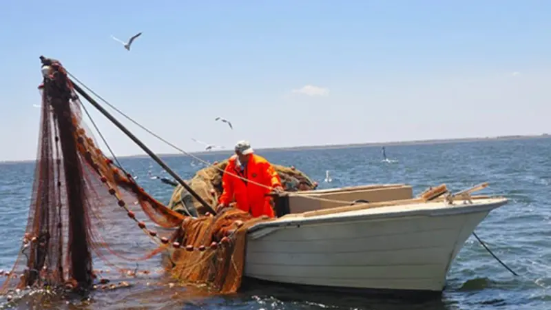 Fishing in South Australia