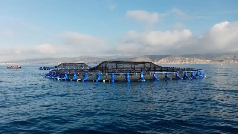 Avramar is opening a new farm in El Campello Photo: Avramar