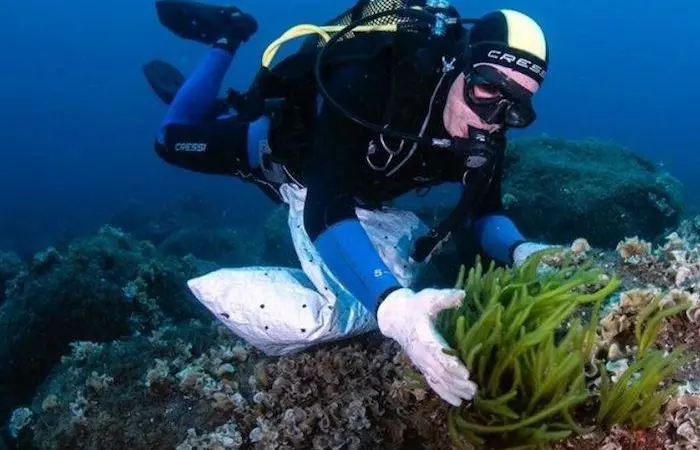 seaExpert produces algae biomass for a range of industries Photo: Friend of the Sea