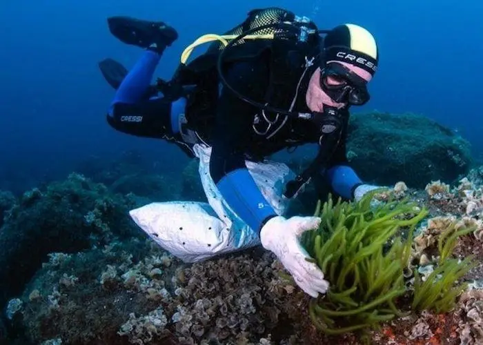 seaExpert produces algae biomass for a range of industries Photo: Friend of the Sea