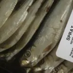 Fish supplies across Europe are not meeting dietary needs, says a new study