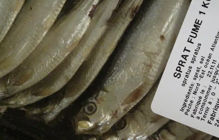 Fish supplies across Europe are not meeting dietary needs, says a new study