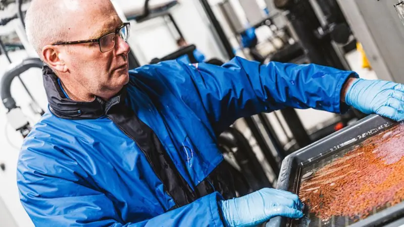 Scottish Sea Farms is working with AquaGen to select the best from its own marine farms and to produce offspring from those. Photo: SSF