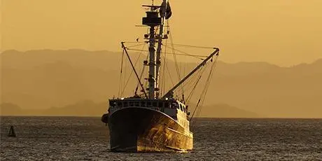 cc0-fishing-trawler-standard-17-19