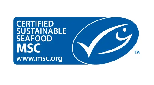 MSC-international