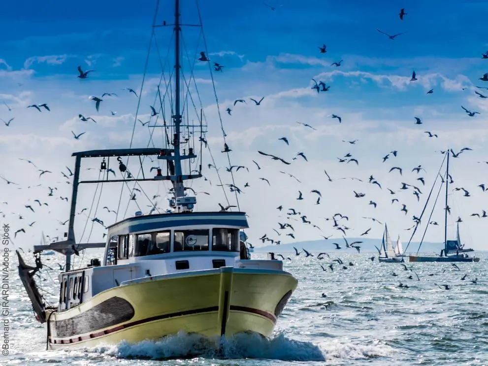 Fishing vessel