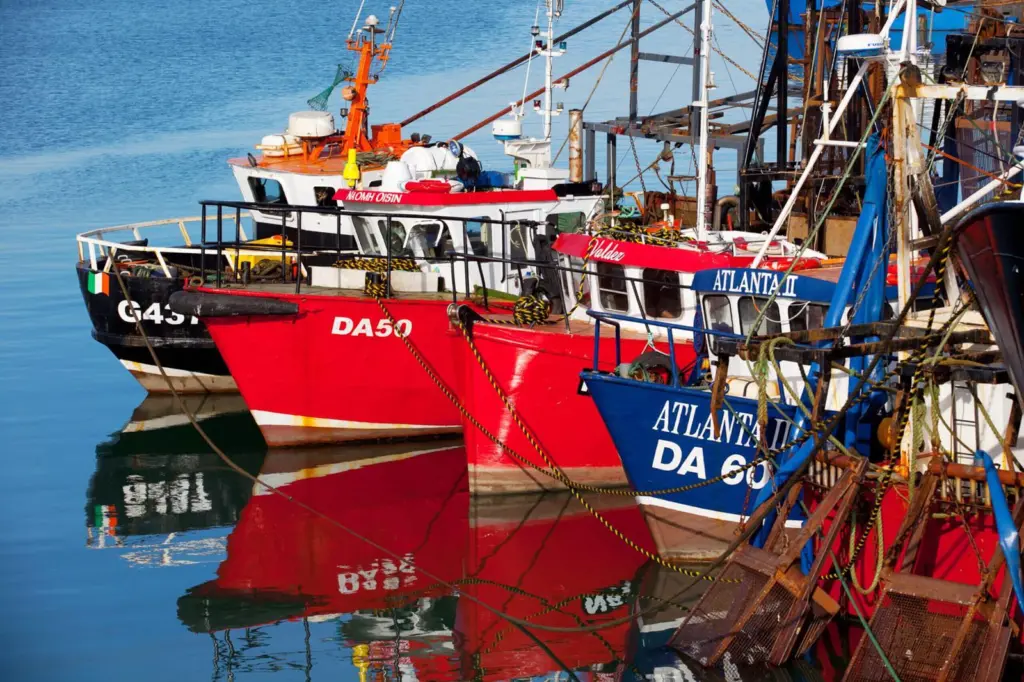 Ireland fishing