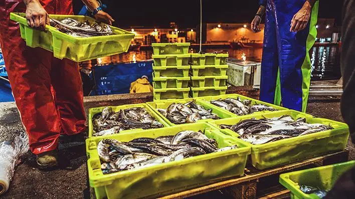 Fishermen at work landing fish