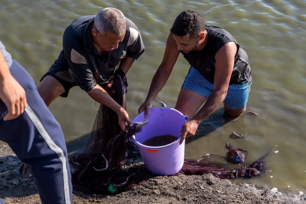 An Egyptian fish farmer with Wasseem Emam from Ethical Seafood Research