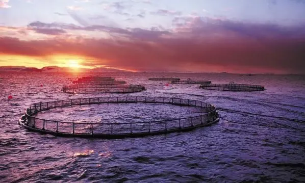 EU aquaculture