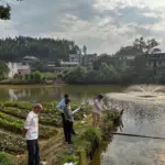 Examination of grass carp pond in China