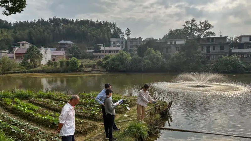 Examination of grass carp pond in China