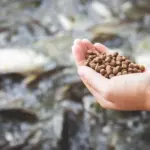 Aquafeeds