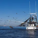 EU Bottom Trawling
