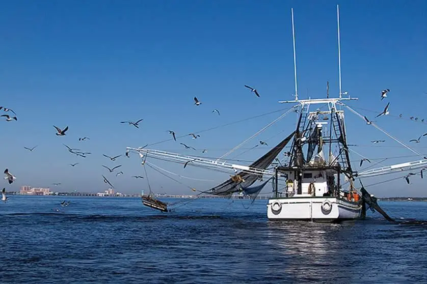 EU Bottom Trawling