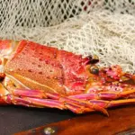 WA rock lobster