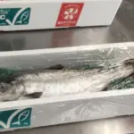 Cherry salmon with ASC label