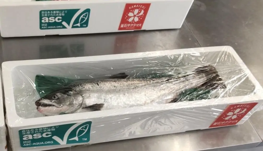 Cherry salmon with ASC label