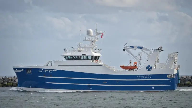 Polarbris