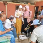 Assessment procedures at a tilapia farm in Egypt