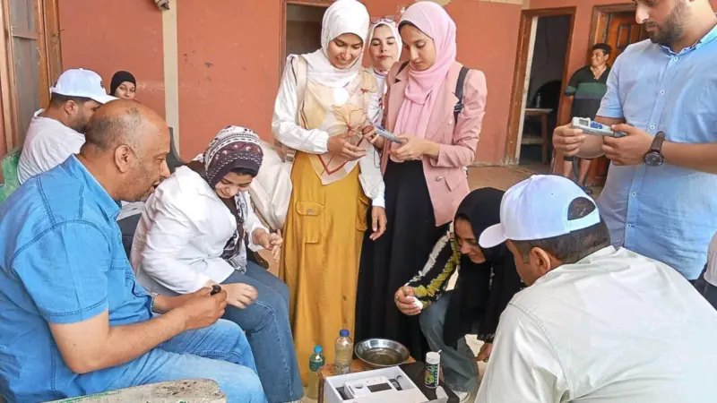 Assessment procedures at a tilapia farm in Egypt