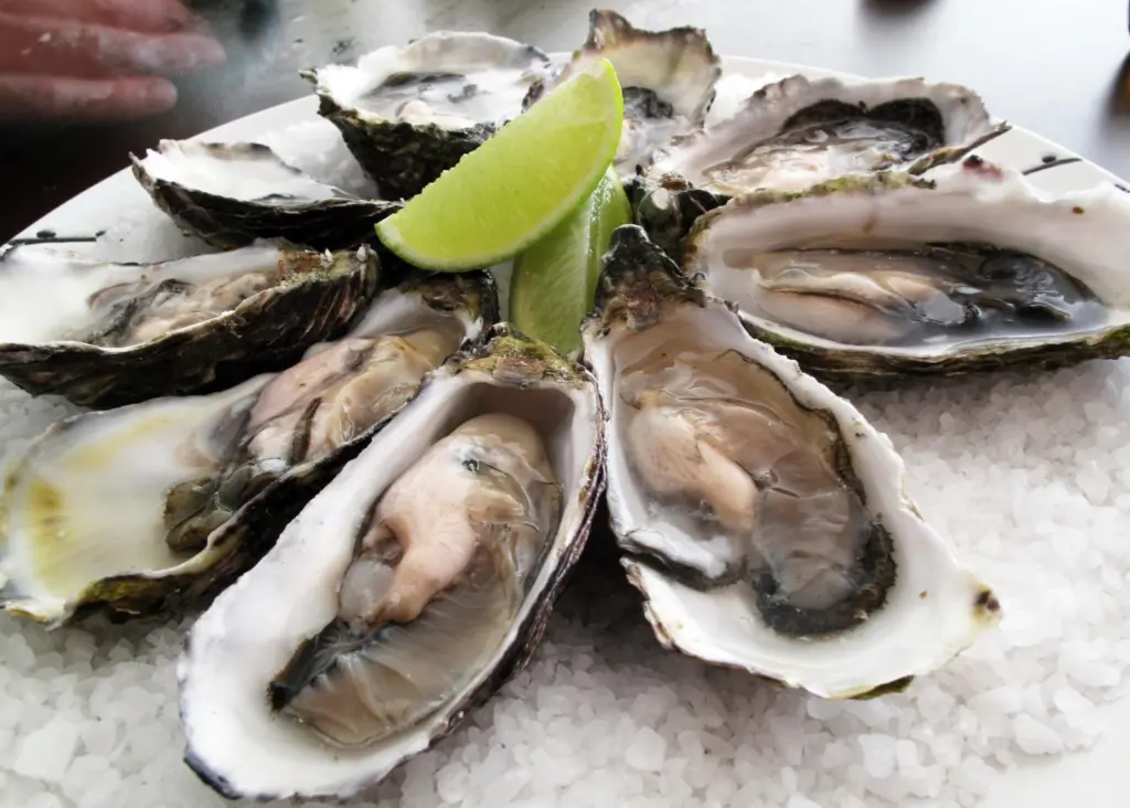 Pacific oysters