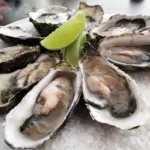 Pacific oysters