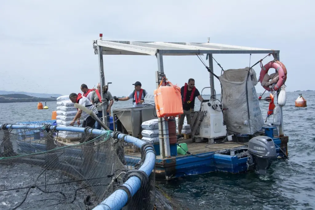 Aquaculture workers at a field visit in Vonitsa in Greece