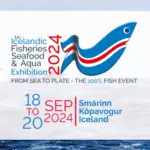 IceFish 2024