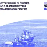 Decarbonise Now report cover