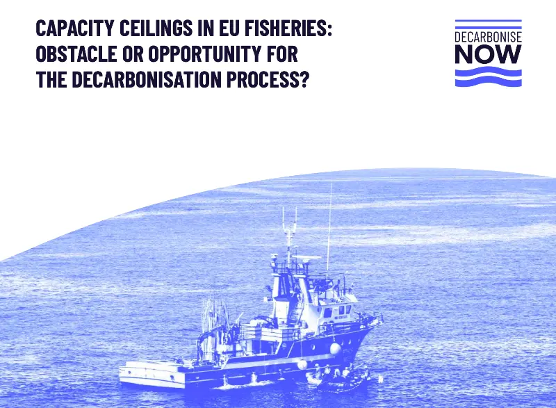 Decarbonise Now report cover