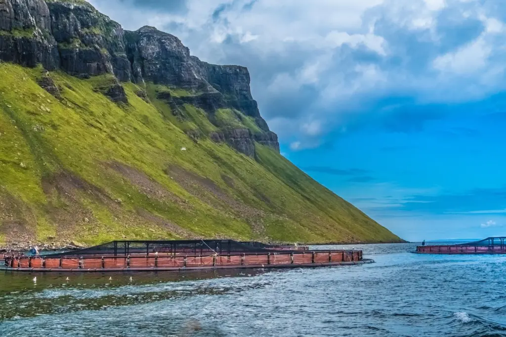 The image shows a view of SAIC's Portree fish farm