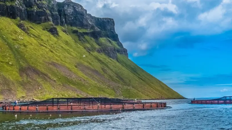 The image shows a view of SAIC's Portree fish farm