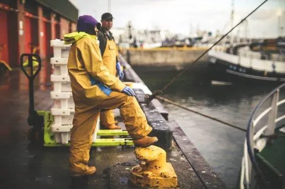 fisherman at work