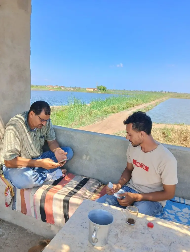 Two tilapia fishermen in Egypt accessing an app which helps improve welfare standards in aquaculture