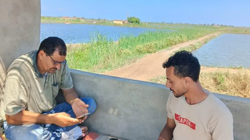 Two tilapia fishermen in Egypt accessing an app which helps improve welfare standards in aquaculture
