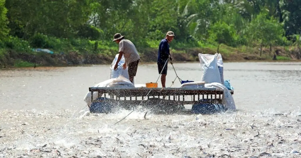 Fishermen in the Mekong delta in Vietnam