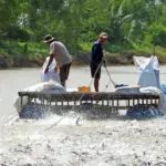 Fishermen in the Mekong delta in Vietnam